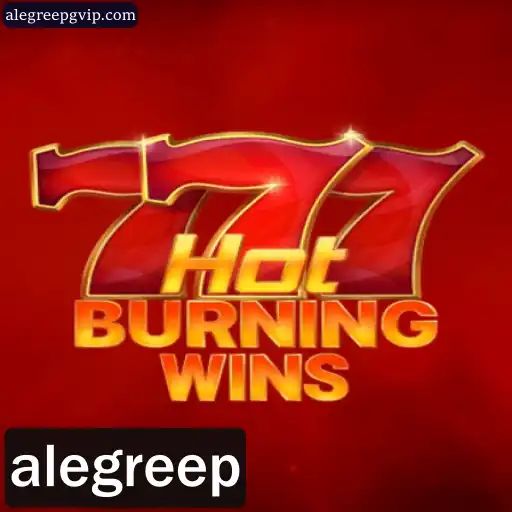 Explorando o Mundo Vibrante de HotBurningWins